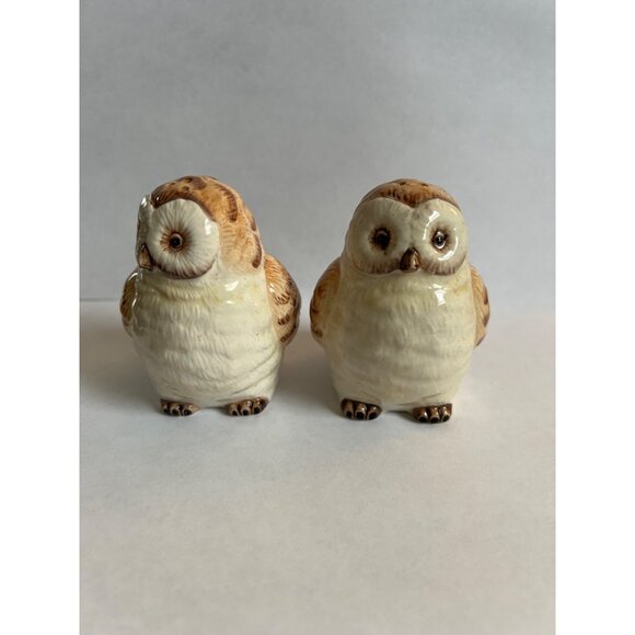 Vintage Ceramic Owl Salt & Pepper Shakers Hand-Painted Brown & Cream Collectible - Picture 1 of 5